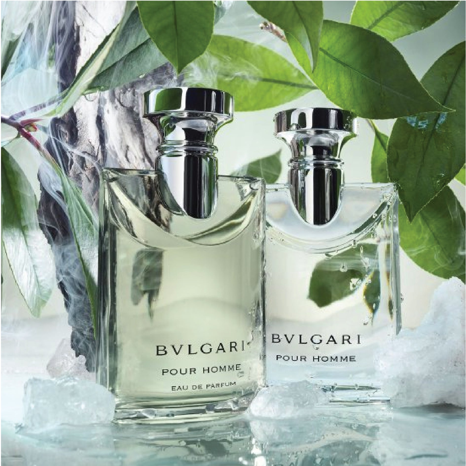 BVLGARI Pour Homme Eau de Toilette Three Fellas